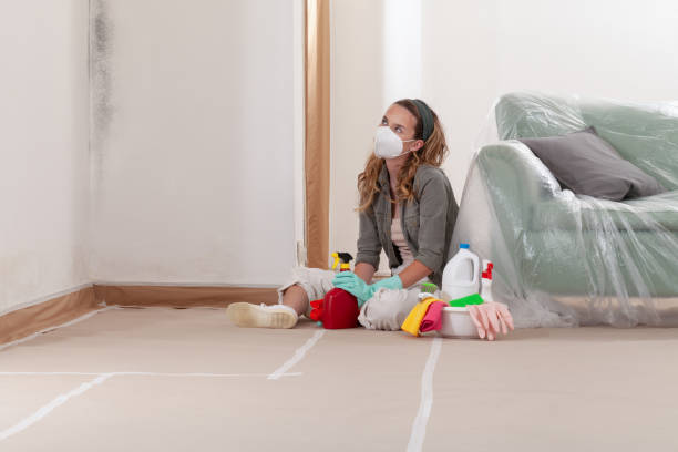 Reliable Black Mold Remediation contractor in Harrisburg, NC by Mold Remediation HQ