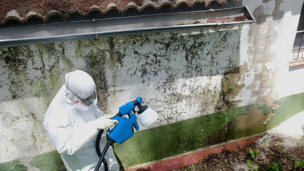 Top rated local Black Mold Remediation specialists in Harrisburg, NC
